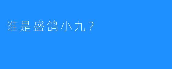 谁是盛鸽小九？