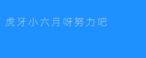 虎牙小六月呀努力吧
