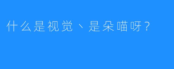 什么是视觉丶是朵喵呀？