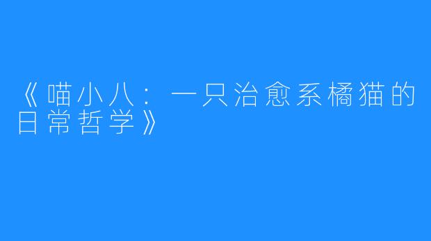 《喵小八:一只治愈系橘猫的日常哲学》