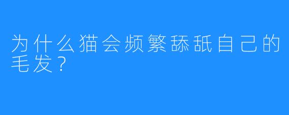 为什么猫会频繁舔舐自己的毛发？