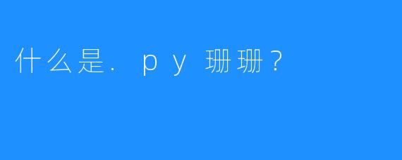 什么是.py珊珊？
