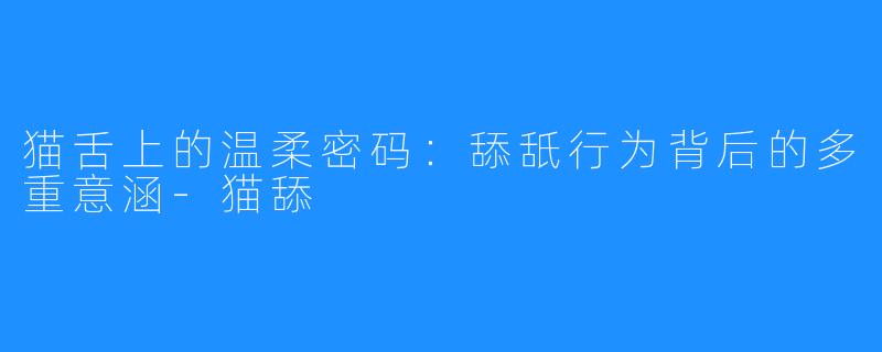 猫舌上的温柔密码:舔舐行为背后的多重意涵-猫舔