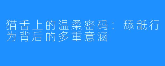猫舌上的温柔密码:舔舐行为背后的多重意涵