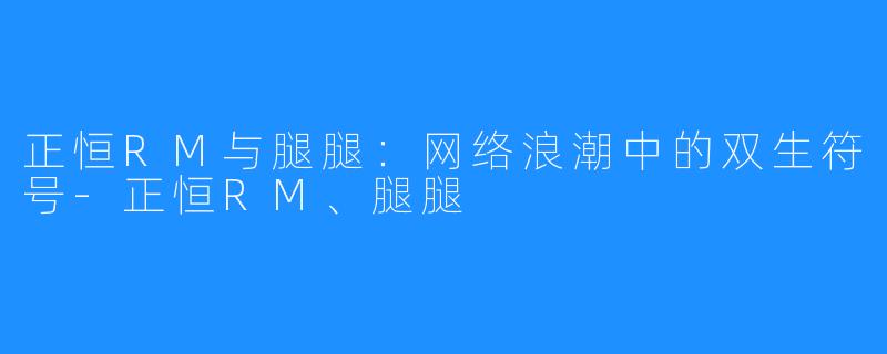 正恒RM与腿腿:网络浪潮中的双生符号-正恒RM、腿腿
