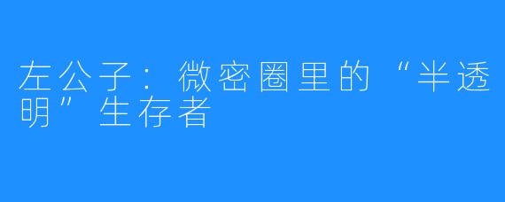 左公子：微密圈里的“半透明”生存者